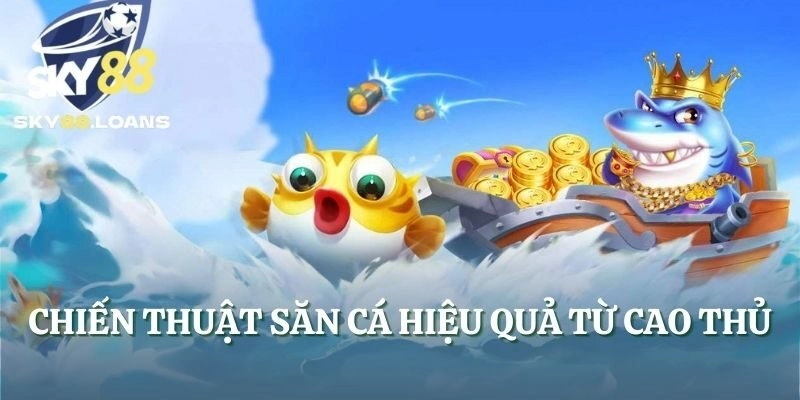 Chiến thuật săn cá hiệu quả từ cao thủ