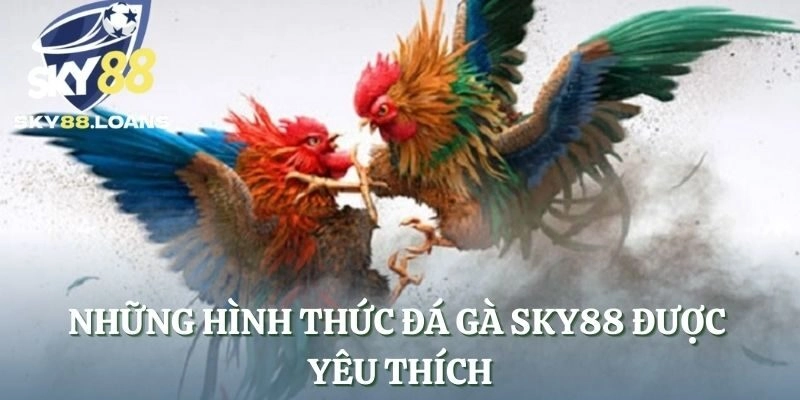 Những hình thức đá gà SKY88 được yêu thích